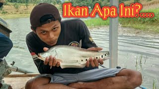 waduk pondok ikan blida