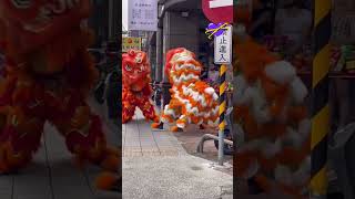 Tetangga cantik di Taiwan nanggap barongsai || syukuran Ala Taiwan