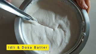 Dosa and Idli Batter | How to make Dosa batter from urad dal and rice | No Yeast | No baking soda