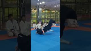 20221028 Aikido Keiko Highlight