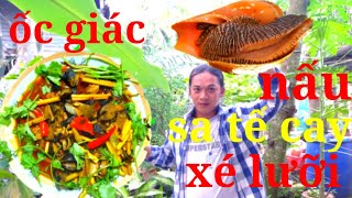 Ốc Giác Nấu Sa Tế Cay Xé Lưỡi Ngon Ngon Tuyệt Vời....