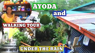 AYODA and WALKING TOUR UNDER THE RAIN in K1 and K2