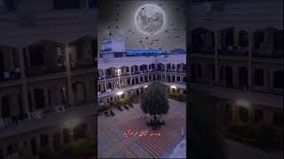 Madarsa Shahi Moradabad || مدرسہ شاہی مرادآباد || मदरसा शाही मुरादाबाद || #shorts #short #viral