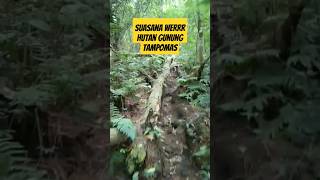 Gunung Tampomas Via Cibeureum #shorts