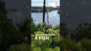 Fishes aren't meant to climb trees. Arborist Motivational Video