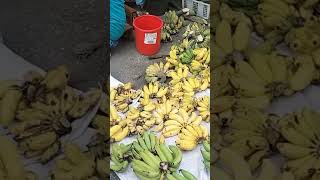 Buah Pisang