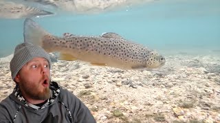 DON'T STOP TROUT FISHING IN THE WINTER REACTION VIDEO