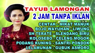 TAYUB LAMONGAN 2,5 JAM "TANPA IKLAN" Tayub Lamongan