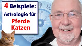 2 Katzen + 2 Pferde-Horoskope - Tier-Astrologie mit Ursache & Lösung bei Verhaltens-Auffälligkeit(2)