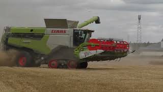 Großeinsatz Getreideernte 1500ha mit 2 Claas Lexion 8800 mit jeweils 12,30 m Convio Schneidwerk 2023