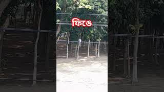 ফিঙে পাখি#nature #video #shorts #birds