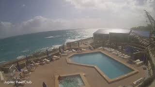 Jupiter ReefClub Live Stream