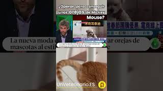 ¿Cirugía estética en animales?