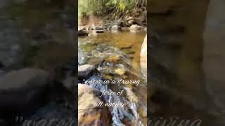 #shorts# ASMR water stream......"The divine nature of water"