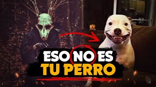 ¡¡NO ES TU PERRO!! 😰 Los SKINWALKERS quieren TU PIEL 💀 #paranormal #skinwalker