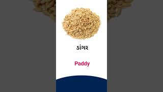 Paddy meaning in Gujarati - English Dictionary