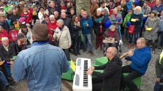 2017 05 07 Pulse of Europe Konstanz singt Oh Konstanz am See