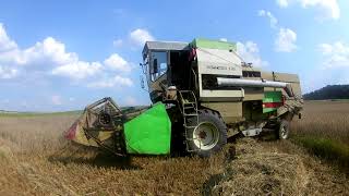 Żniwa 2k18 Cz.1  Massey Ferguson 6170 &  FORTSCHRITT  E514