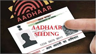 How to check Aadhaar seeding with Bank account (Aadhar card number seeding with Bank AC)