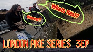 LONDON PIKE SERIES: THIS time I nearly KILLED the SPOT