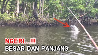 YA TUHAN...!!! LAGI ASIK MANCING PENGHUNI MUARANYA NGAMUK