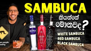 Everything You Need to Know About Sambuca | සම්බුකා ගැන ඔබ දැන ගත යුතු සියල්ල