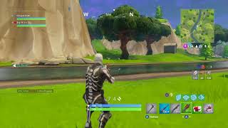 Best Aim in FORTNITE 14Kills Win