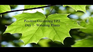 Positive Gardening EP3 Day 1 - Watering