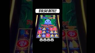 Bonus In The Bonus Big Win‼️ #midwestslots #casino #slots #shorts #short #dragonlink #pandamagic