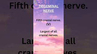 TRIGEMINAL NERVE