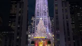 Se encuentra el famoso árbol de navidad que colocan cada año en Nueva York junto a la pista de hielo