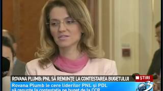 Rovana Plumb: PNL să renunţe la contestarea bugetului ( HD )