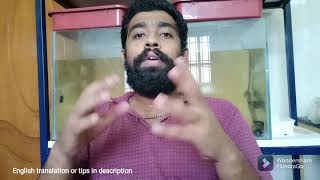 Holiday maintenance For Fishes | Flowerhorn | @aquapetsfarmtamil4785