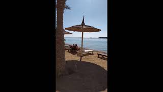 Sharm El Sheikh albatros aqua blue Пляж 28.01.2020 часть пляжа  временно закрыта