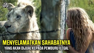 PETUALANGAN MENYELAMATKAN TEMAN BAIKNYA‼️Alur cerita film MIA AND THE WHITE LION