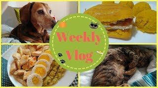 ★ QUESTA CASA NON E' UN ALBERGO.. PER ANIMALI 😂 - VLOG ★ | Weekly Vlogs