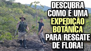 Expedição Botânica para Resgate de Flora - Jardim Botânico Inhotim - plantas