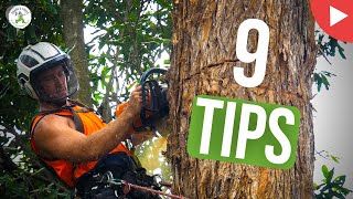 TREE REMOVAL - 9 WAYS TO GET COUNCIL APPROVAL - SHANES TREES