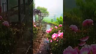 love for rain #rain #barish #love #ai #nature #naturelovers #viralvideo #trending #youtubeshorts