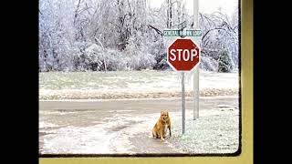 1998 Ice Storm