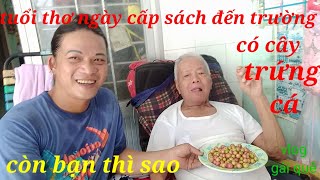 Tuổi thơ của mình có cây Trứng Cá...còn bạn thì sao...vlog Gái Quê...