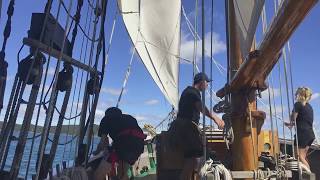 Bay Of Islands Blog - Day Trip On R. Tucker Thompson Sail Boat