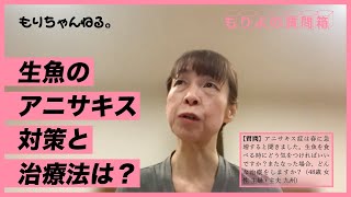 生魚のアニサキス対策と治療法は？～もりよの質問箱～