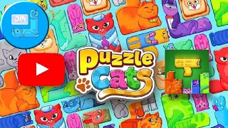 PUZZLE CATS - noob vs pro - all video