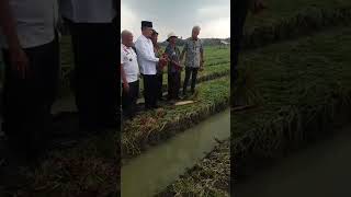 KUNJUNGAN GANJAR PRANOWO KE BREBES BERTEMU PETANI BAWANG MERAH