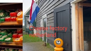 netherland#zans skhan#cheese fectory#how they make cheese, #