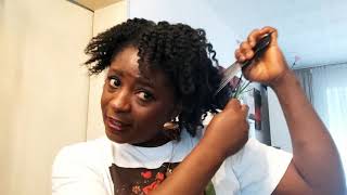 Super Moisturized Defined Twist Out On 4c 4b Hair | #Tutorial #Natural #Hair #Moisturized #Twist Out