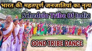 भारत की महतपूर्ण जनजातियां का नृत्य / Schedule Tribe Of India / Gond Tribe, Odisha / Ashok Prime TV