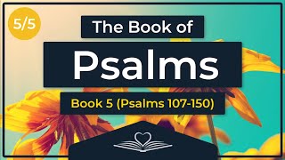 The Book of Psalms | Book 5 | Psalms 107–150 | Audio Bible (NRSV)