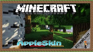 AppleSkin Mod 1.18.1/1.16.5/1.12.2 & Tutorial Downloading And Installing For Minecraft